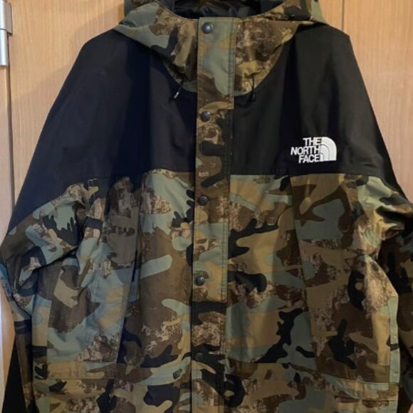 THE NORTH FACE Mountain Light jacket.